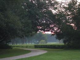 Charleston Planation Road
