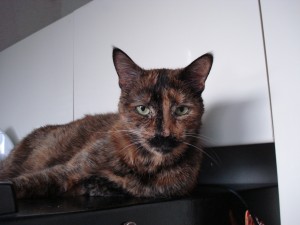 spooky-pictures-451