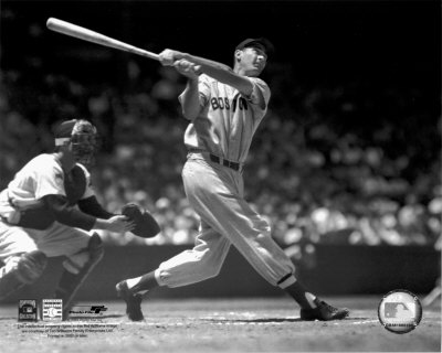 Ted Williams